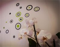 Фото Chroma Octho