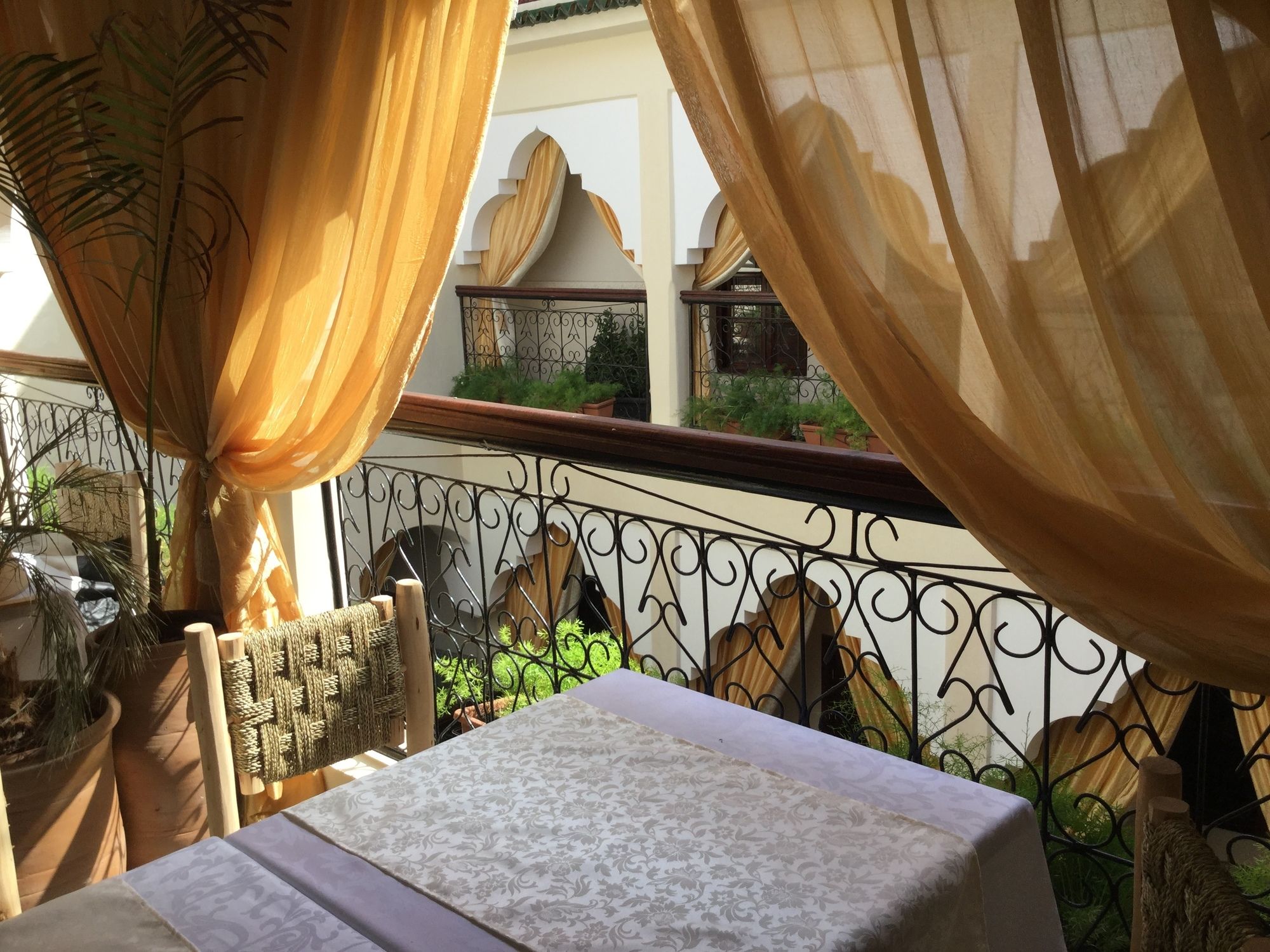 Фото Abélia Riad