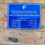 ГБУ РО Ростовская областная станция по борьбе с болезнями животных с противоэпизоотическим отрядом, Новошахтинский филиал (Otechestvennaya ulitsa, 81), veterinary clinic