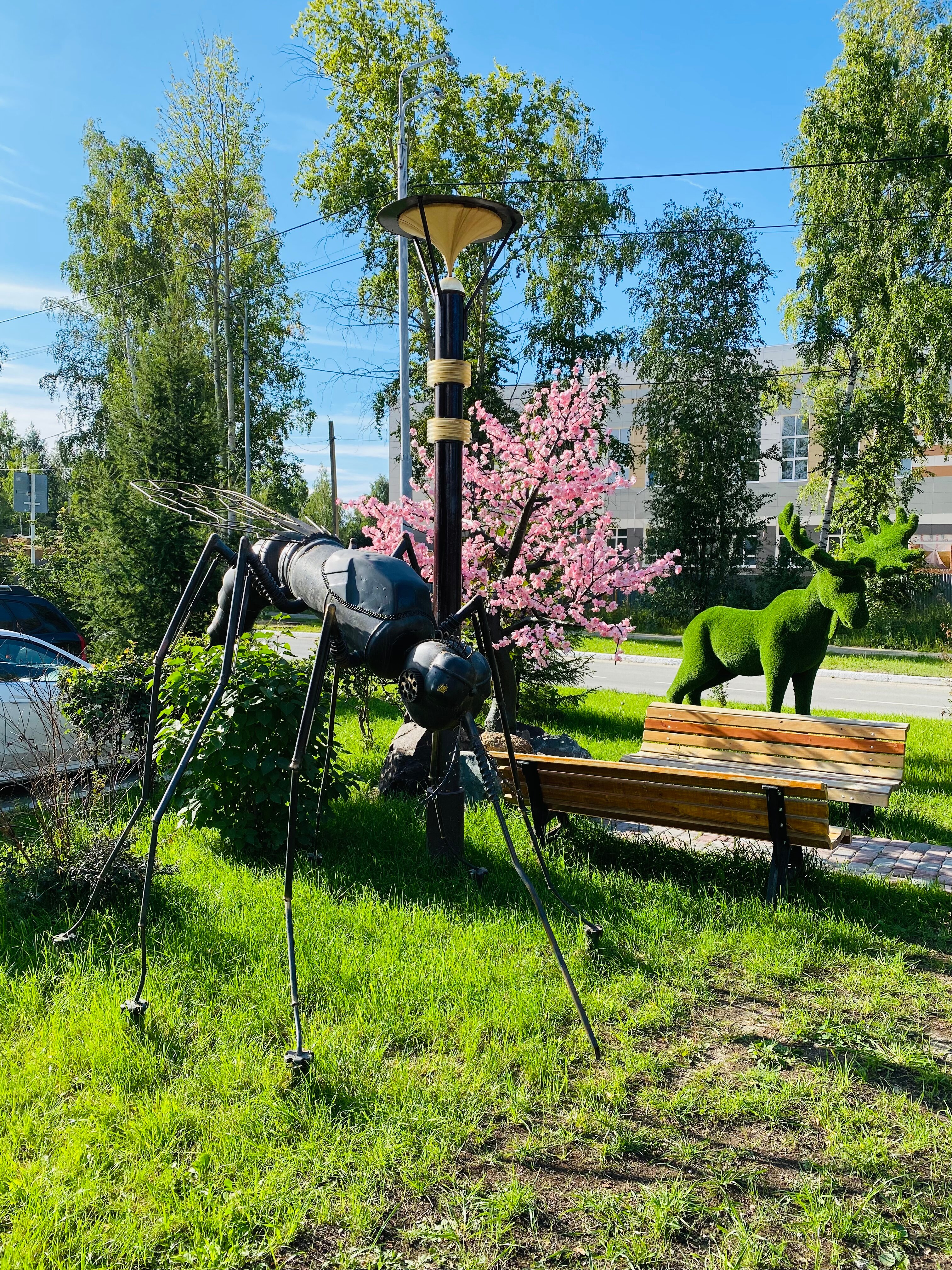 Фото Турсунт