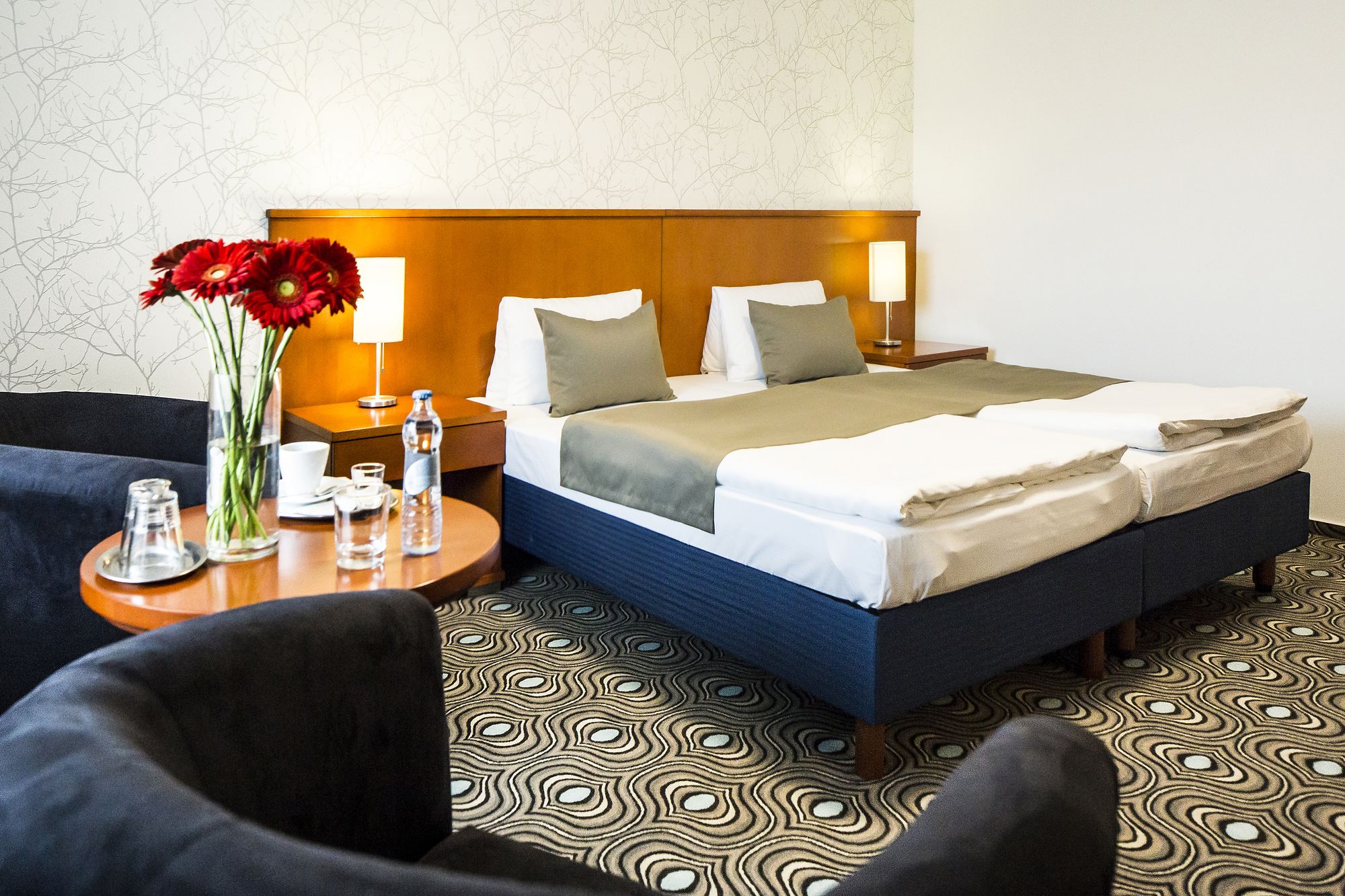 Фото Parkhotel and Congress Center Pilsen