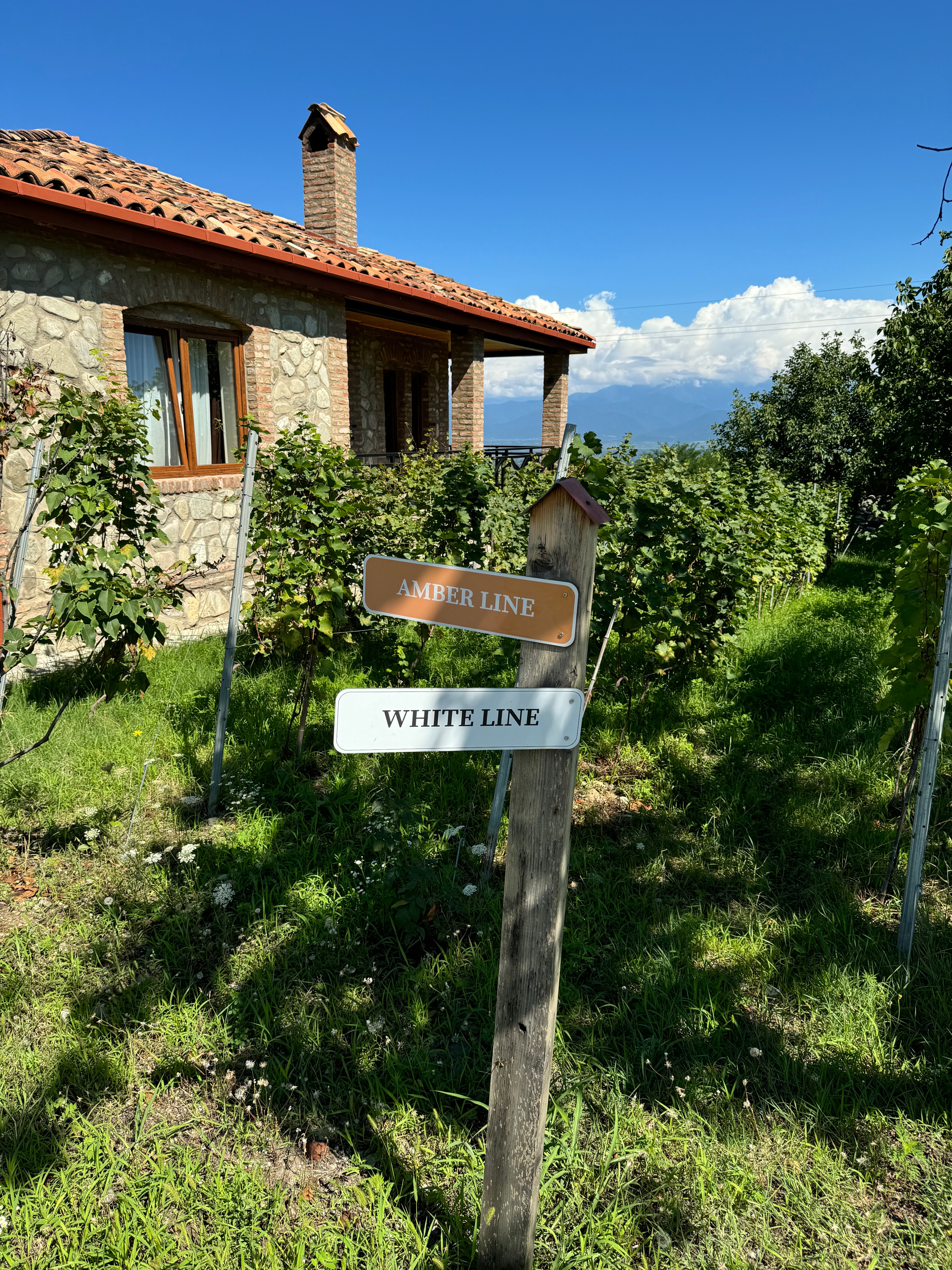 Фото Schuchmann Wines Chateau & SPA