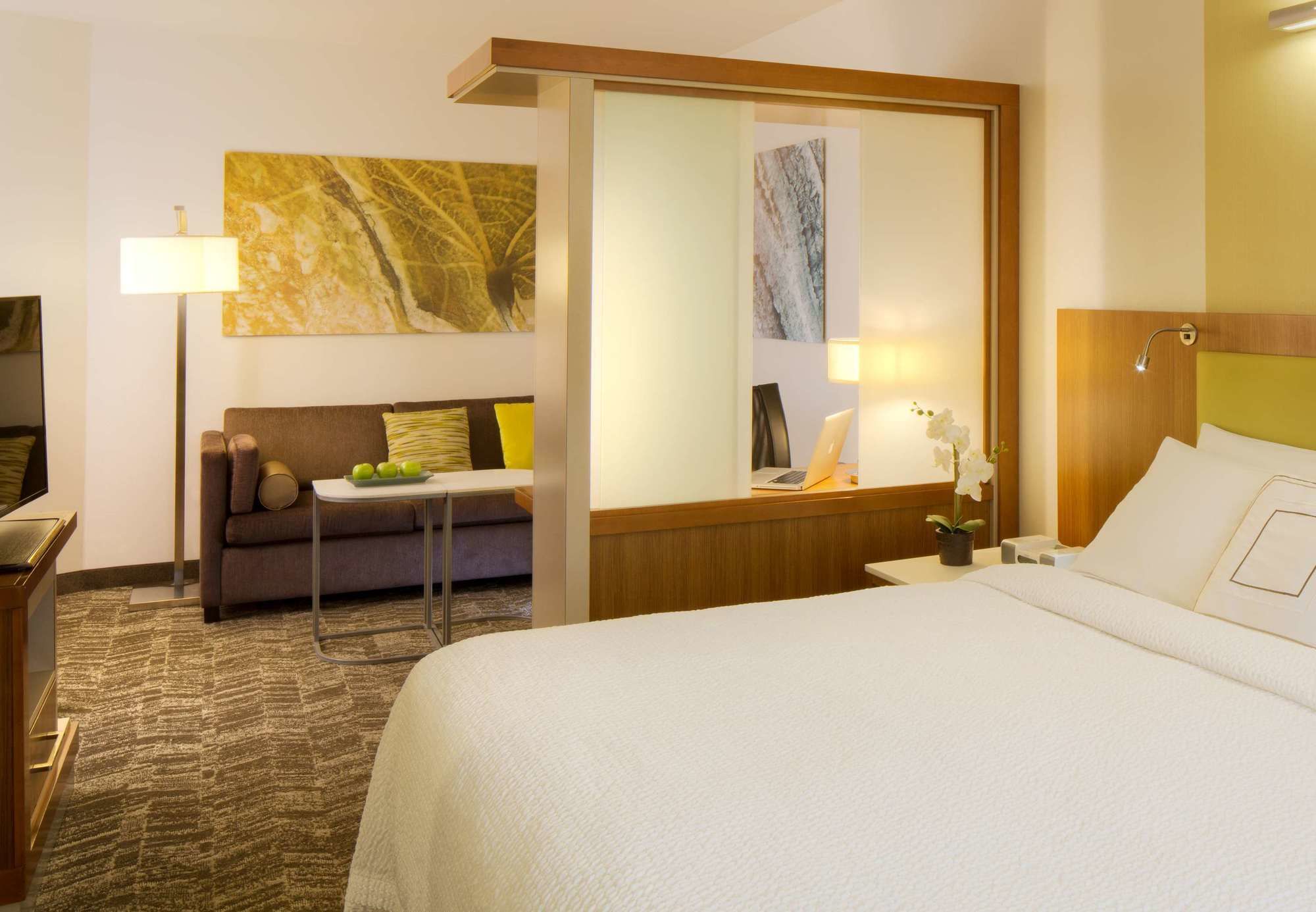 Фото SpringHill Suites Anchorage University Lake