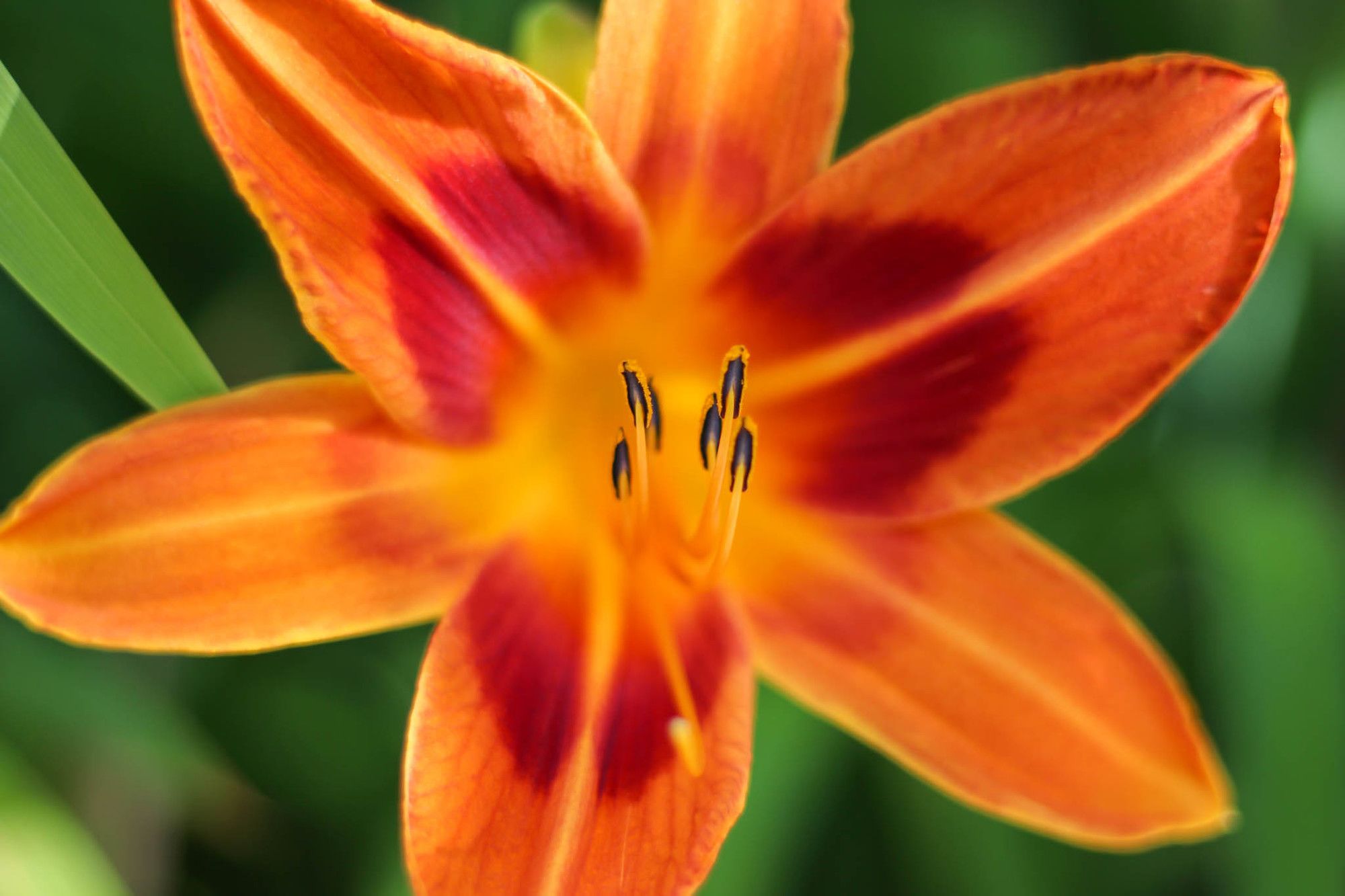 Фото Airlies Guest House