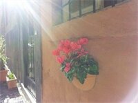 Фото Domus Tiberina