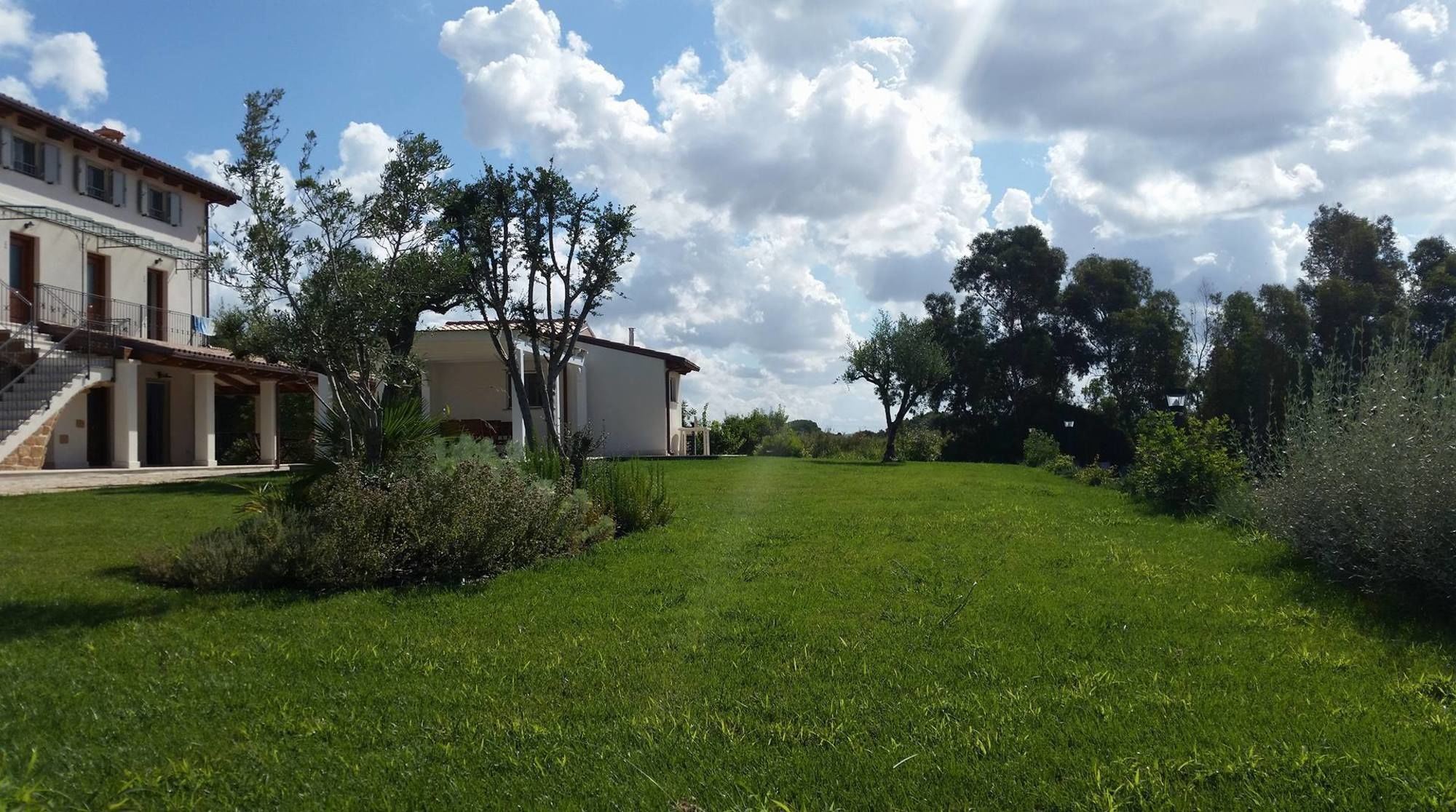 Фото Agriturismo Casale degli Ulivi