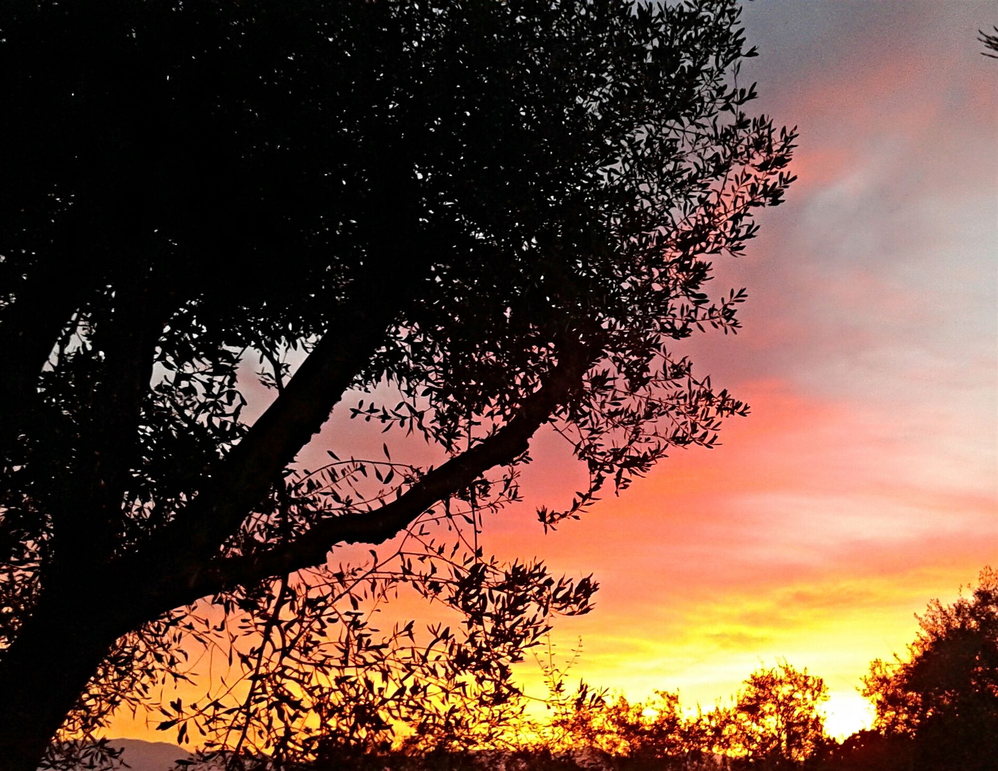 Фото Gina Studios