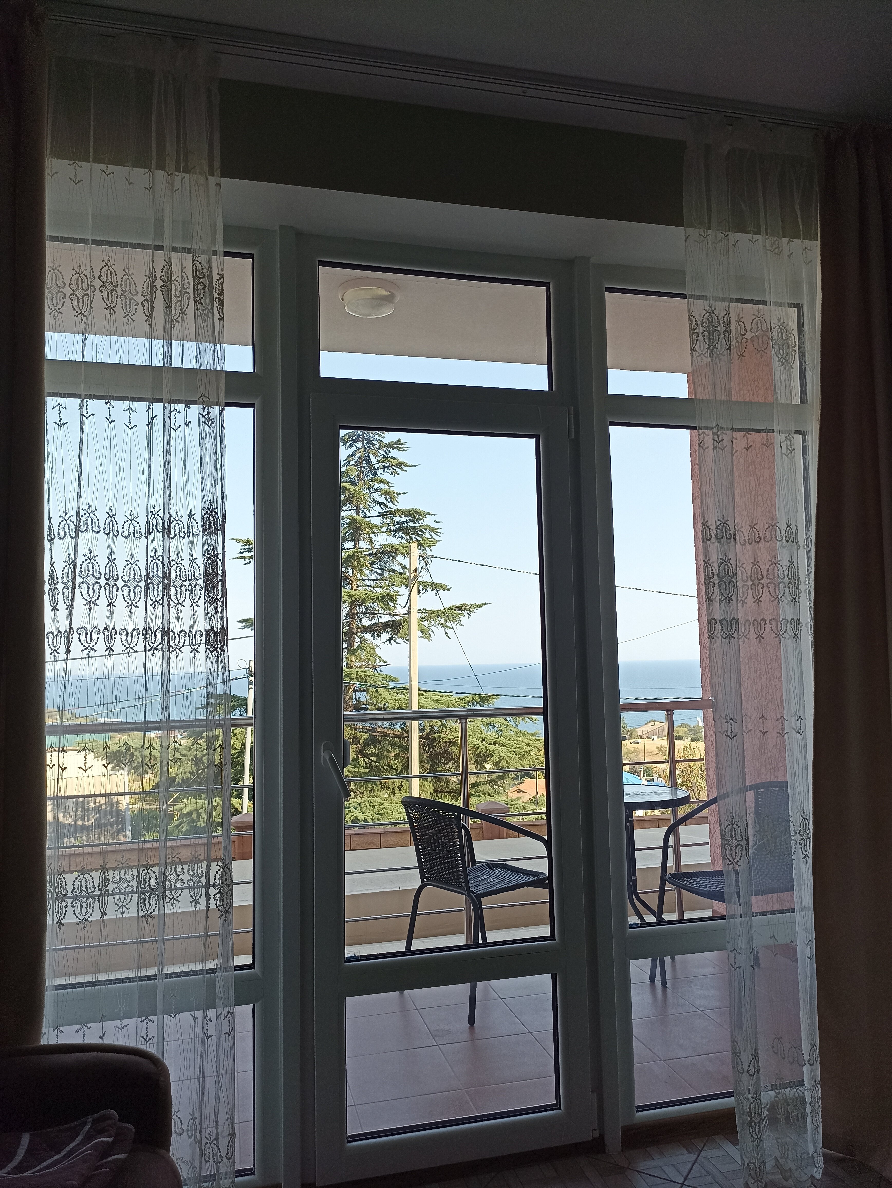 Фото Дельфин