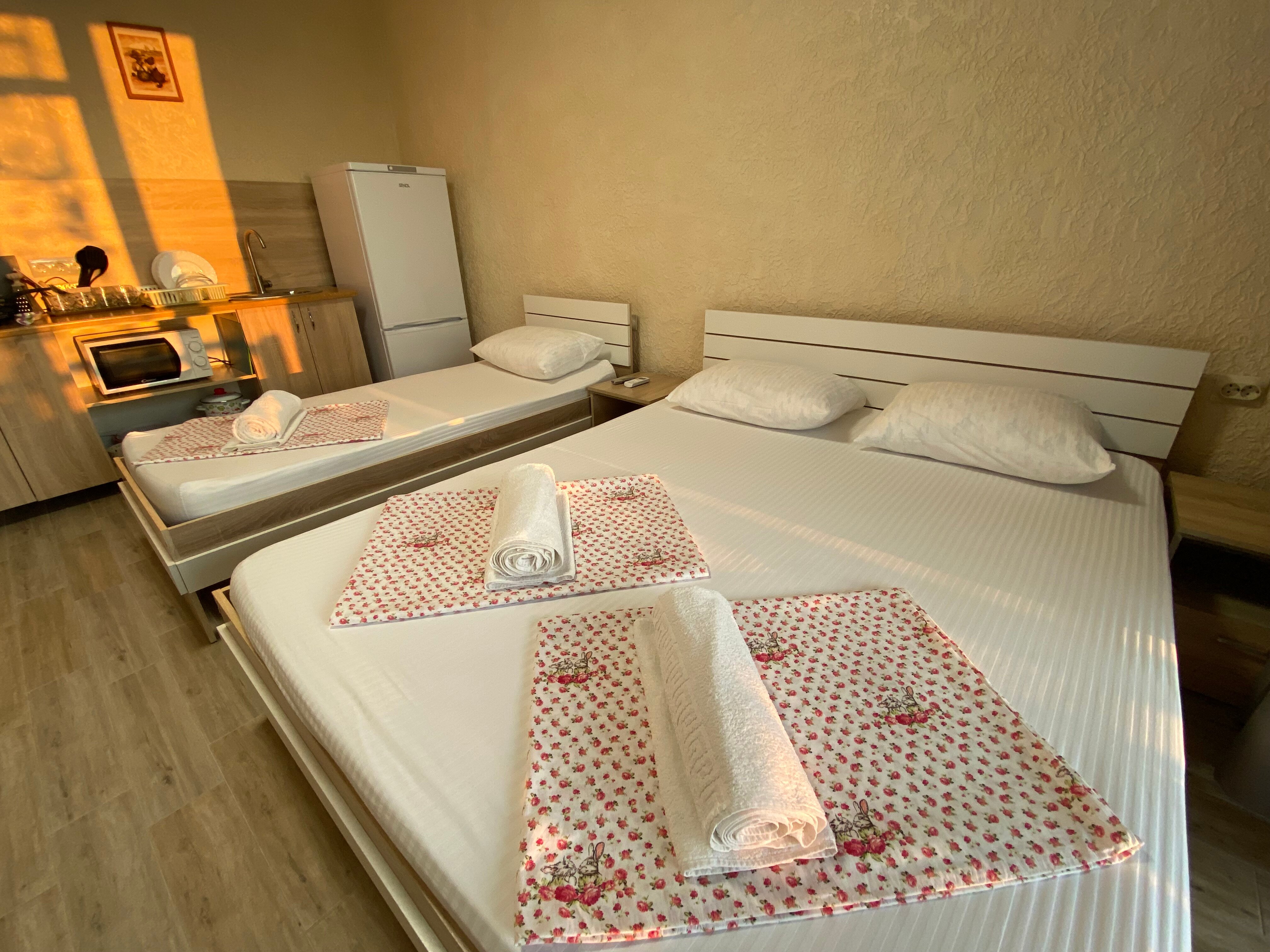 Фото Сантолина