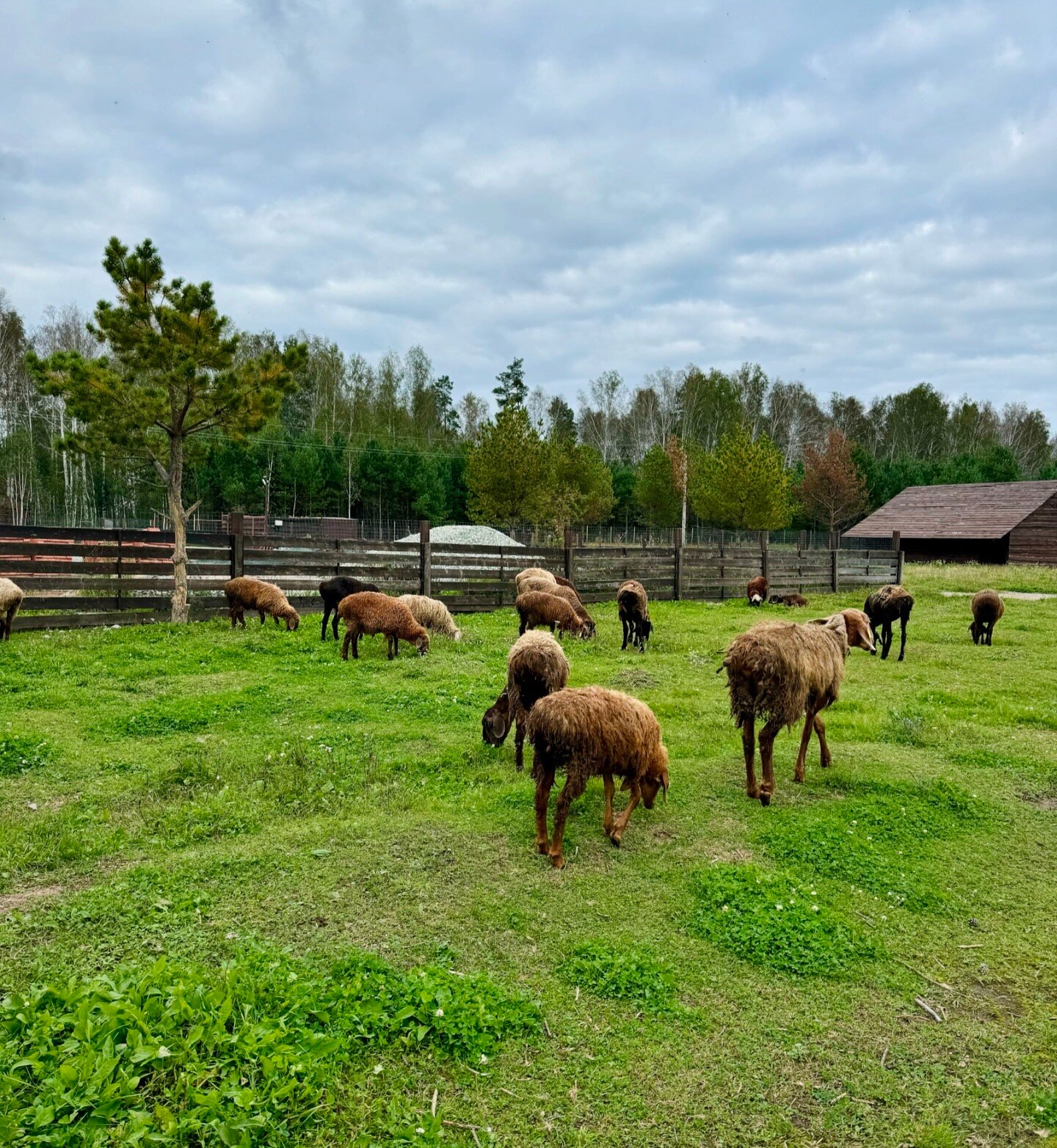 Фото Лаки Глэмпинг