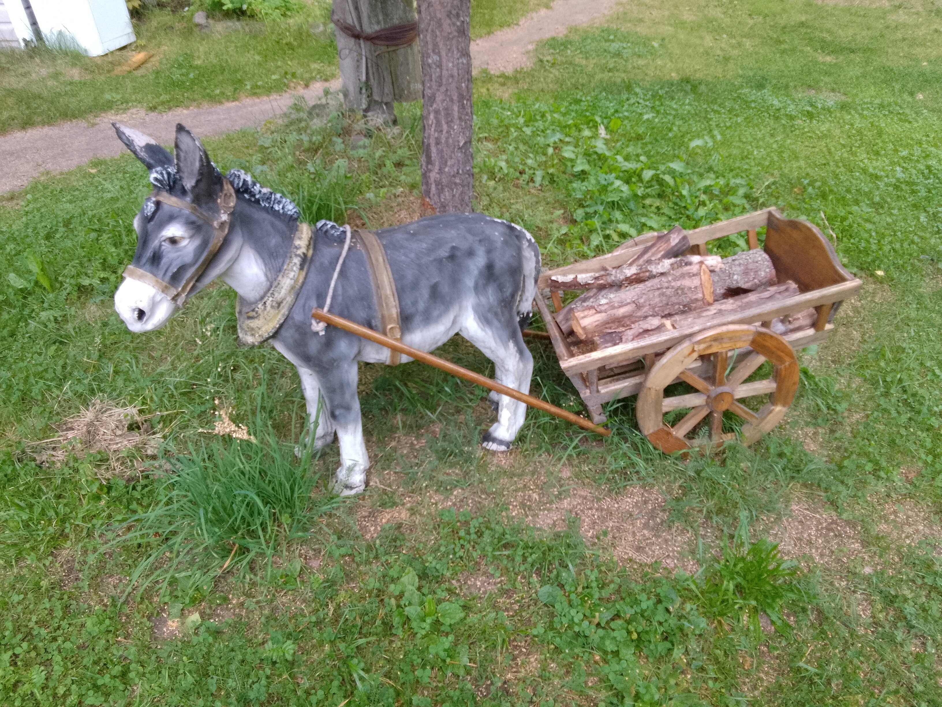 Фото Сандал