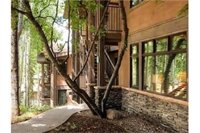 Фото Aspenwood, a Destination by Hyatt Residence