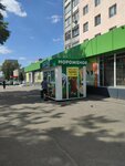 Belaya Dolina (Penza, Klary Tsetkin Street, 55), helado