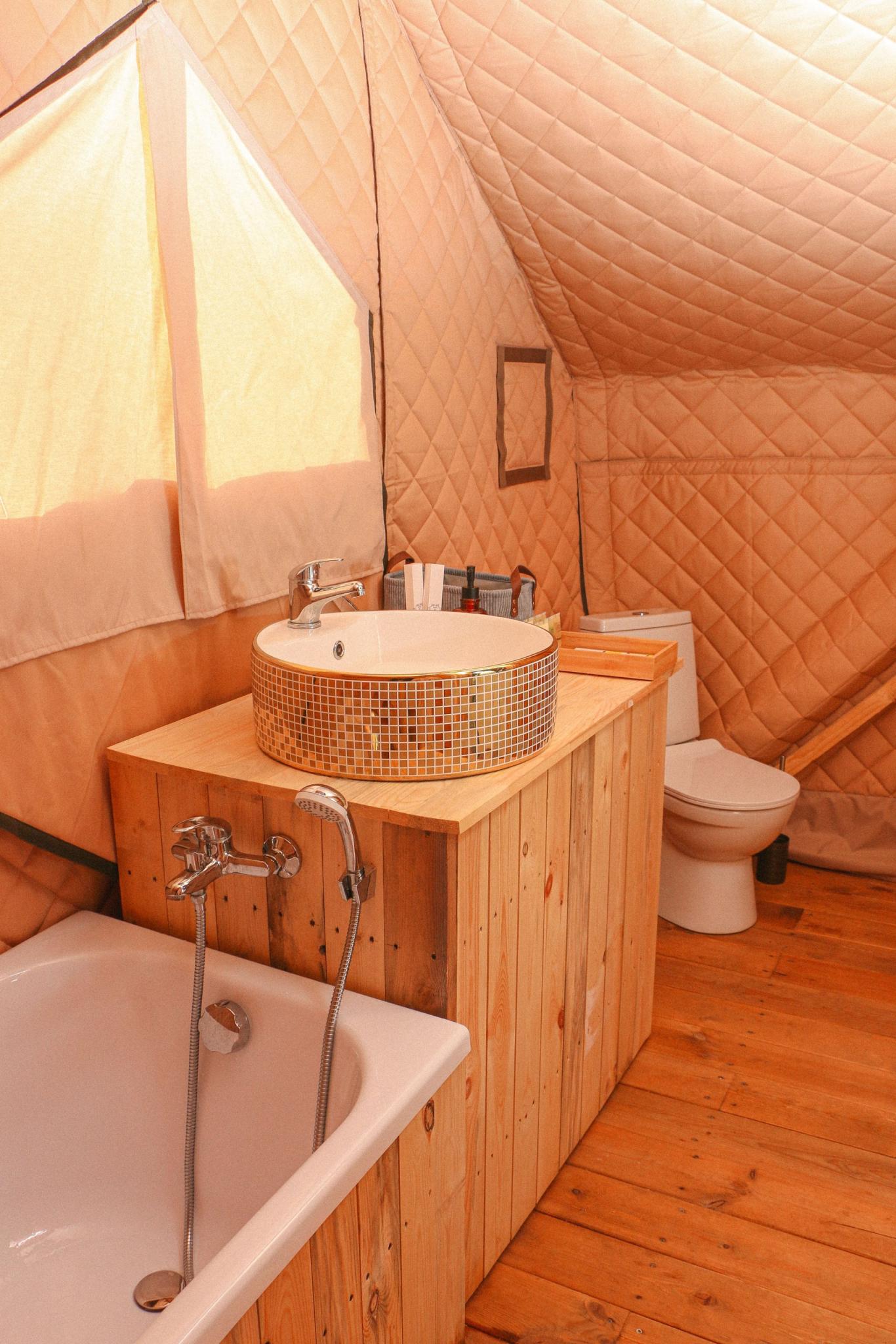 Фото Малина