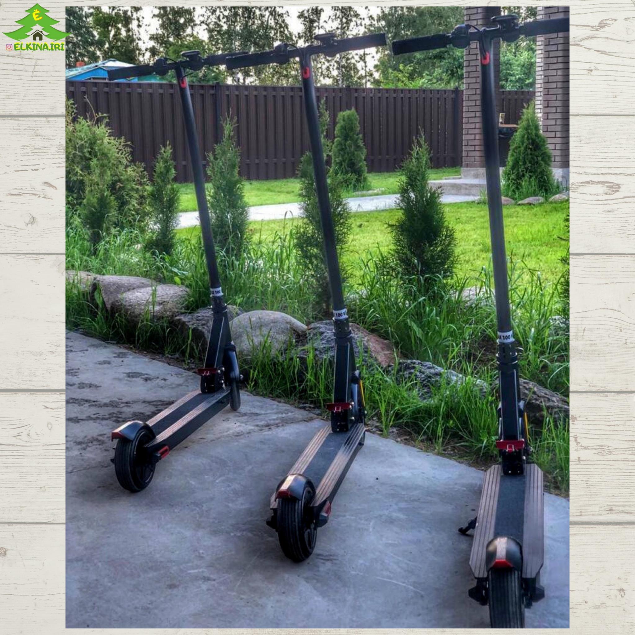 Фото Ёлкина