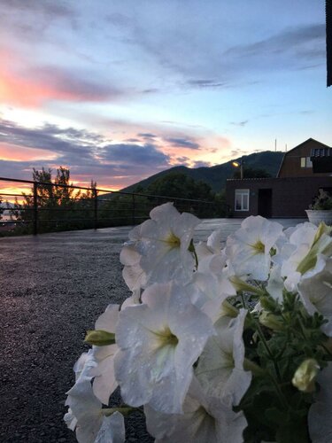 Дом в аренду Командор в Камчатском крае