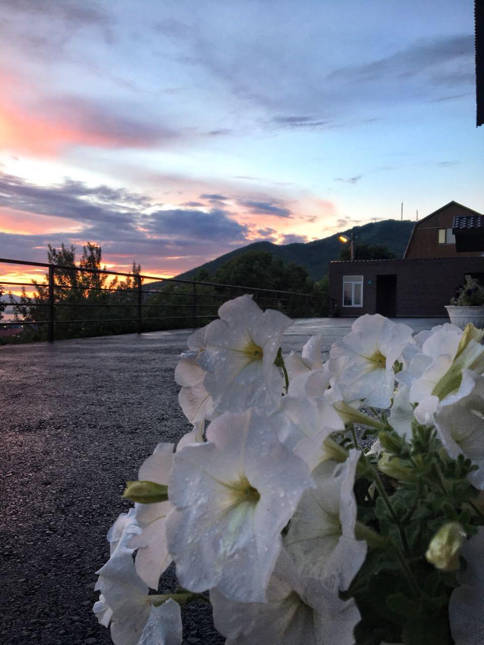 Фото Командор