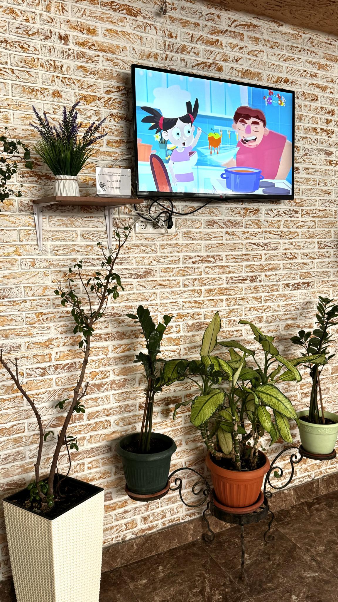 Фото Прибрежный Апартаменты