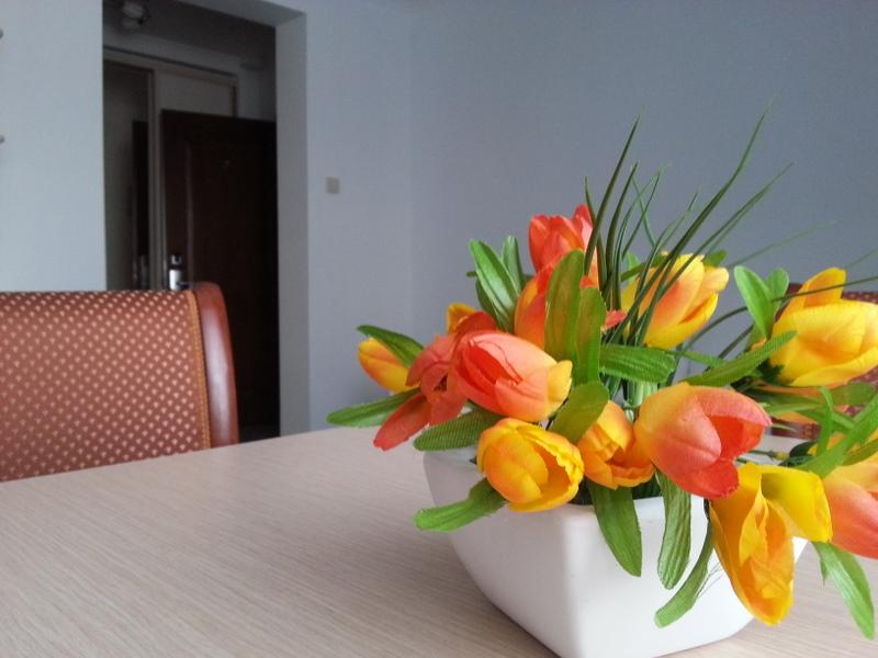 Фото Гостиница Алпатьево