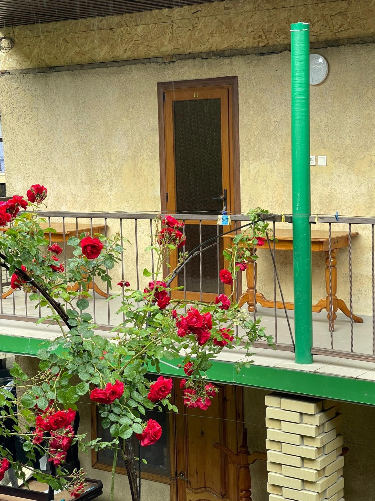 Фото Анисья