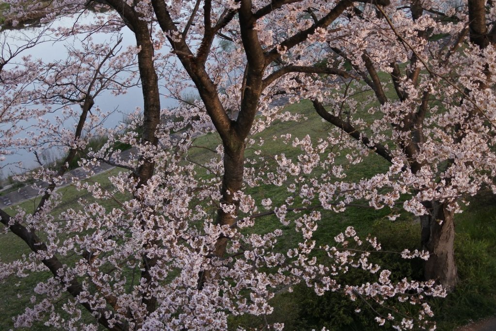 Фото Hotel Dressy -Adults Only