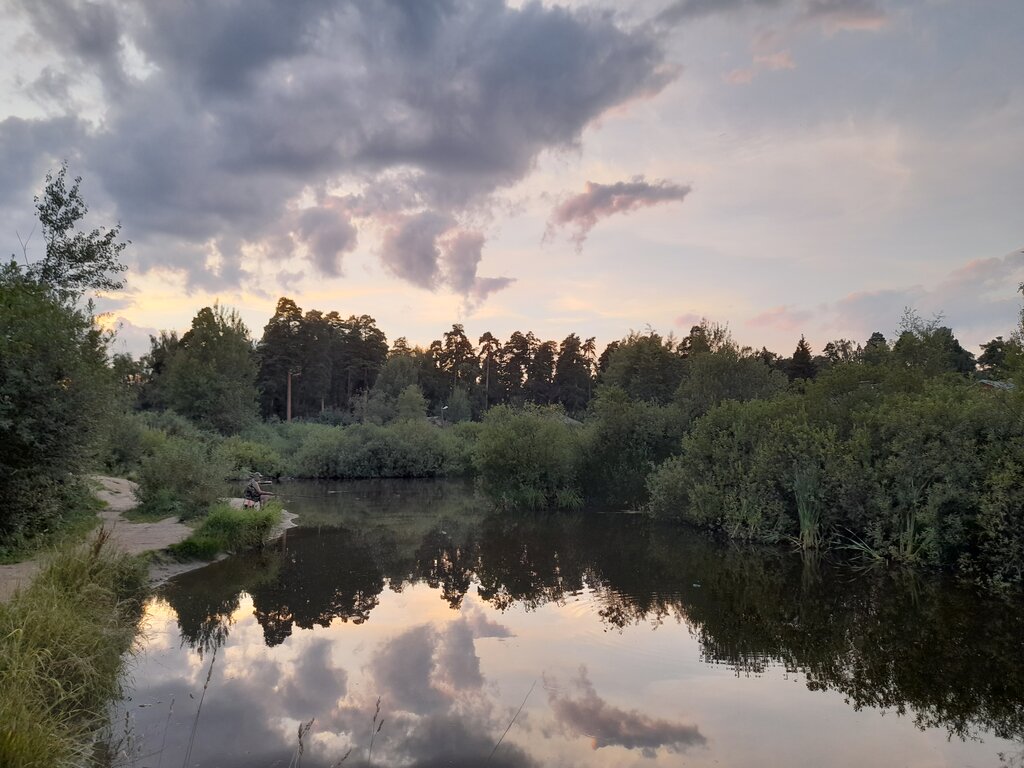 Meşə-park Валентиновский бор, Korolyov, foto