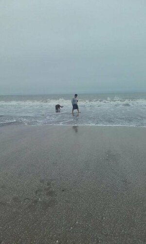 Гостиница Plenilunio Hotel в Провинции Буэнос-Айрес