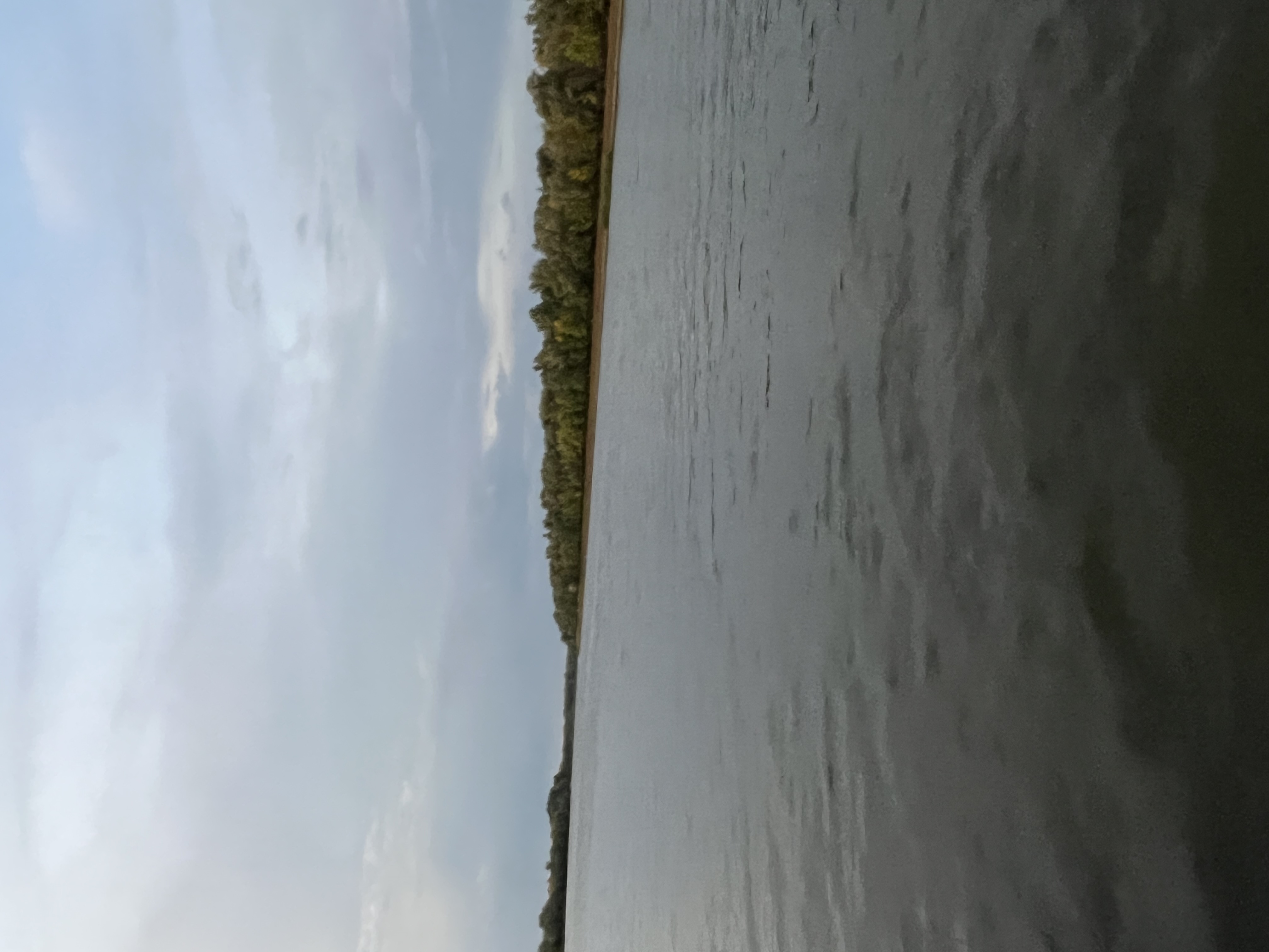 Фото Лазурная