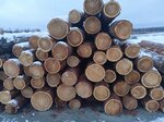 Деревообрабатывающее предприятие (Lesnaya ulitsa, 1), empresa de carpintería