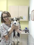 Vetfox (ulitsa Vlasova, 49), clínica veterinaria