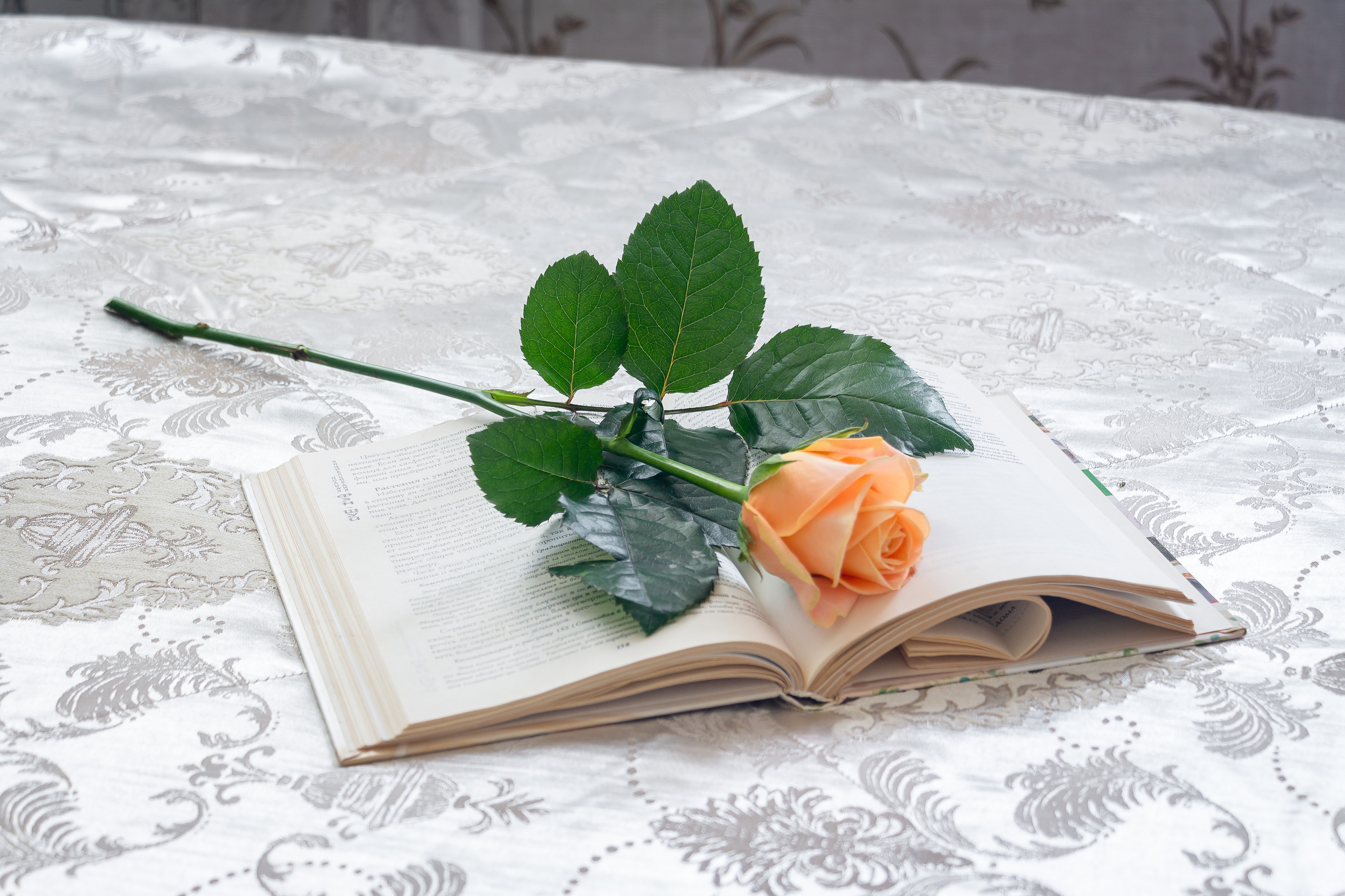 Фото Констиаль-Ривьера апарт