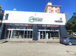 Ercan Mobilya - Ercan Mobilya Dekorasyon Aksesuar San (İstanbul, Başakşehir, İkitelli OSB Mah., Keresteciler 5A Blok Sok., 5A), shopping mall