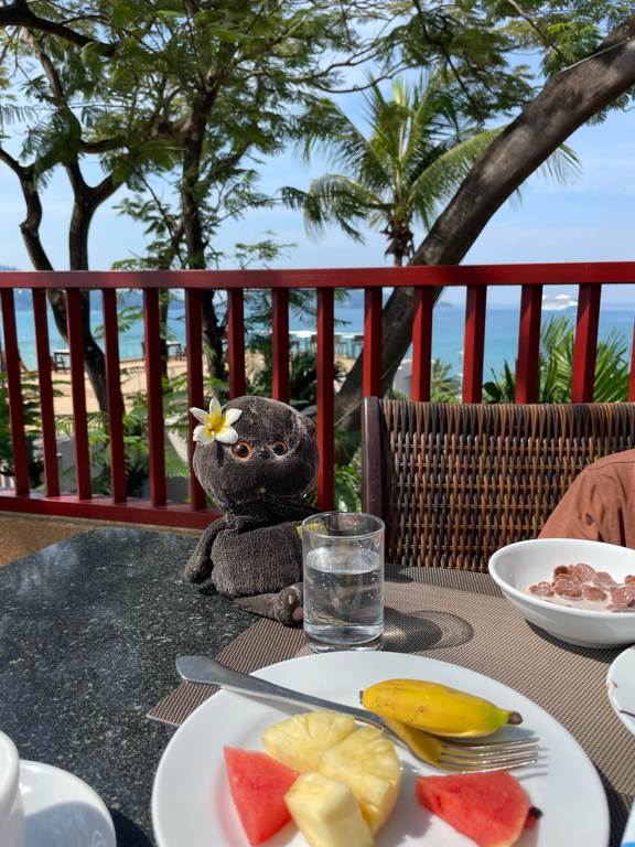 Фото Novotel Phuket Resort