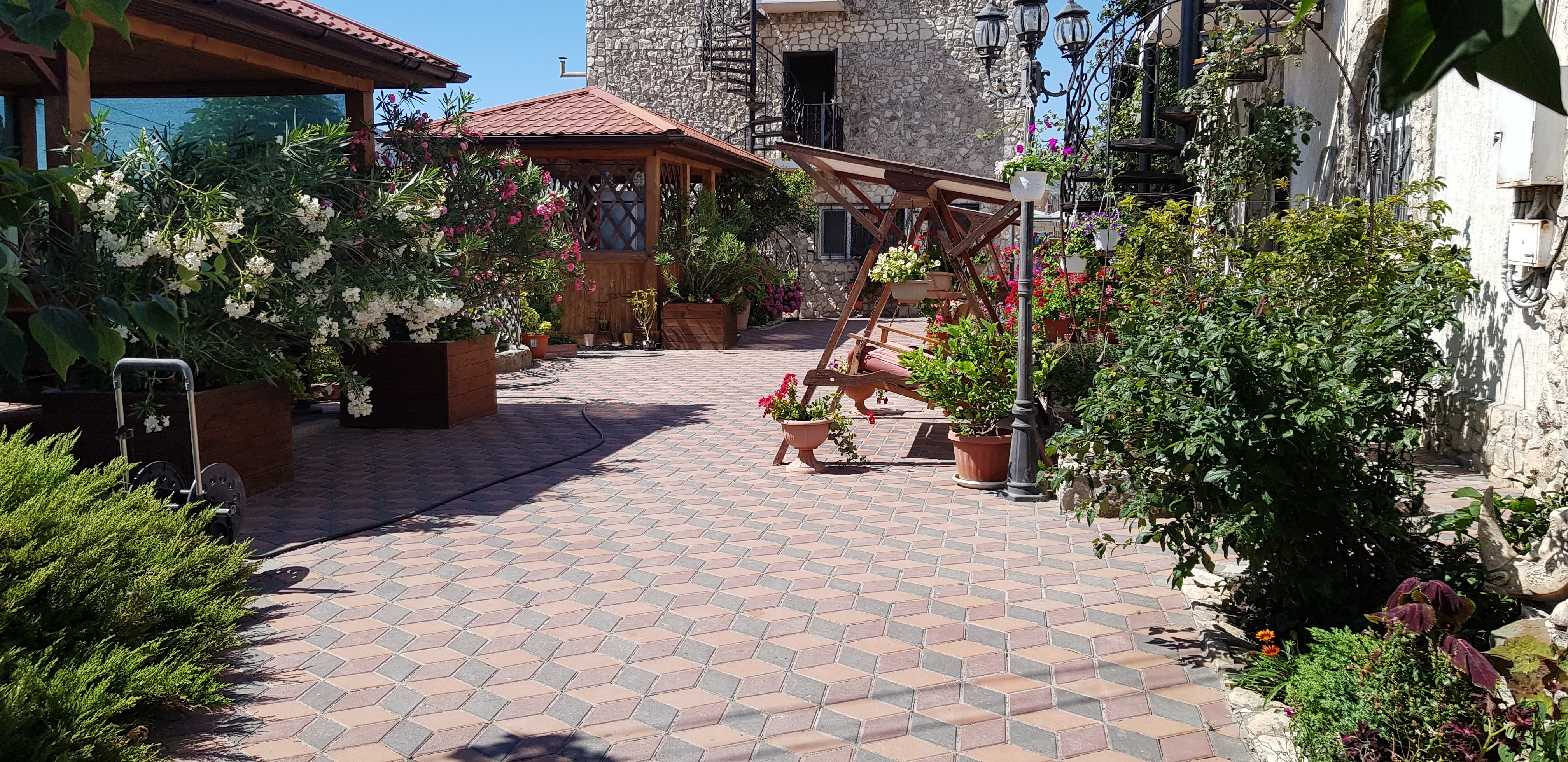 Фото Сапсан