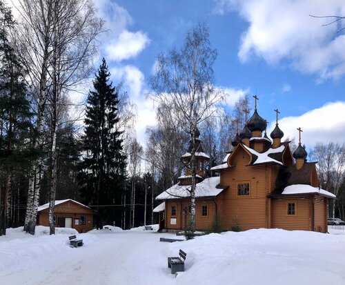 Фото: Церковь Сергия Радонежского в православной школе Образ, православный храм,