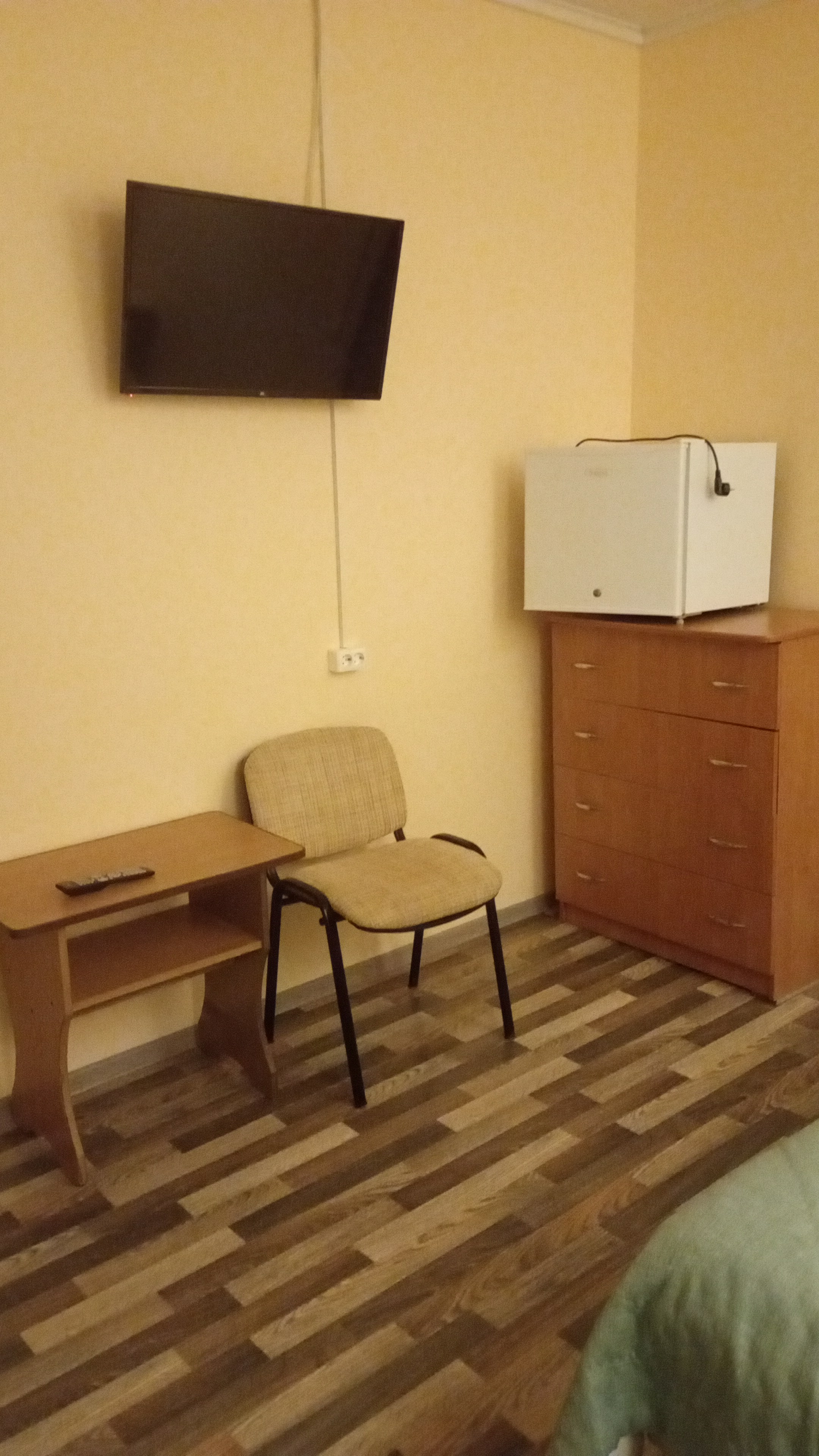 Фото Изумрудная пальма