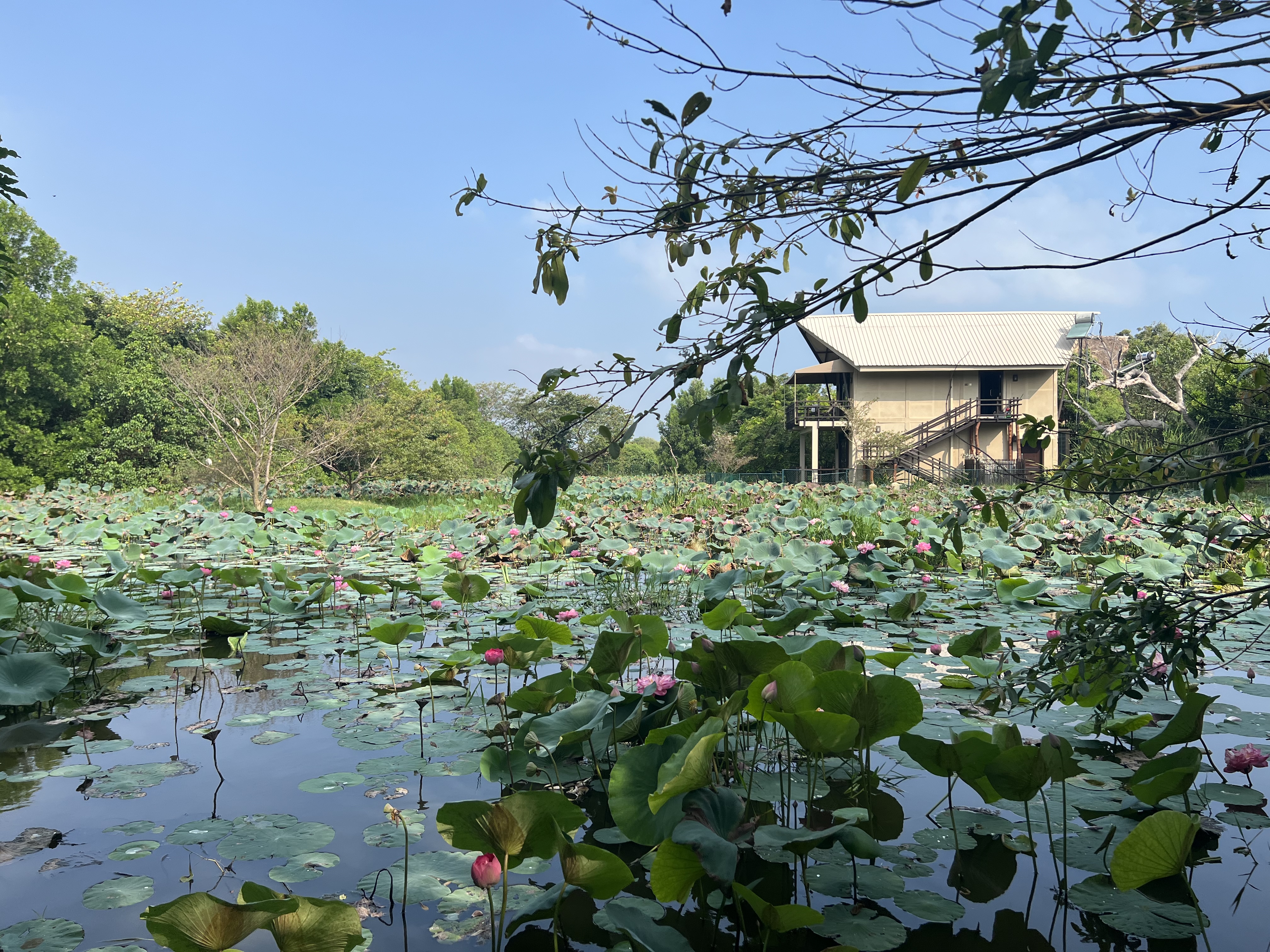 Фото Uga Jungle Beach Resort Sri Lanka