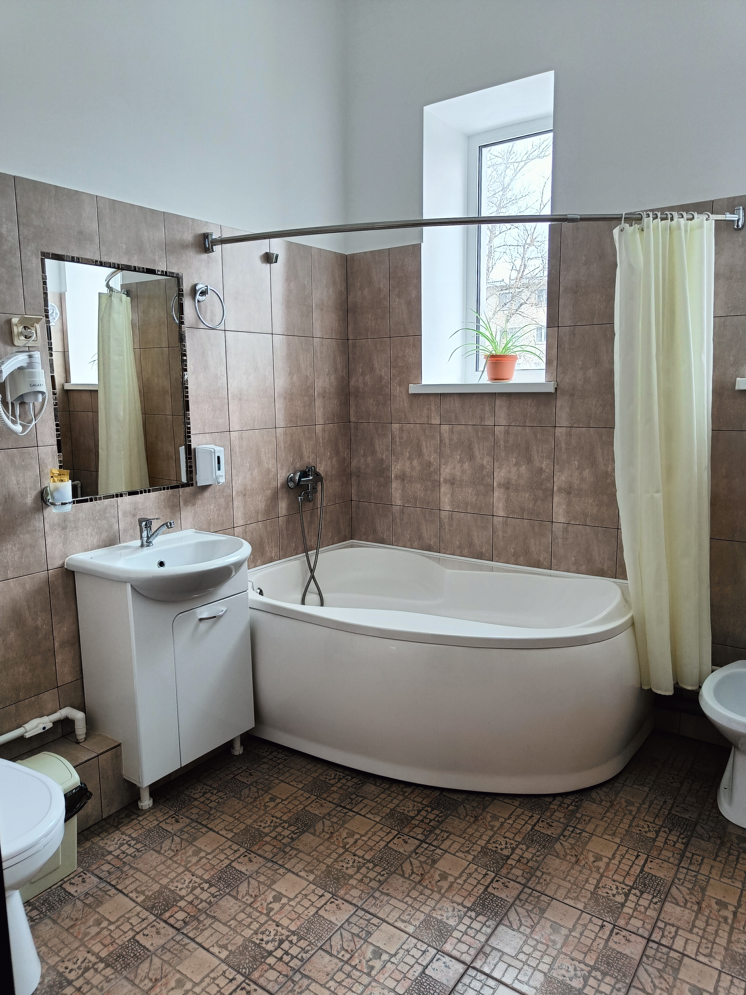 Фото Астерия