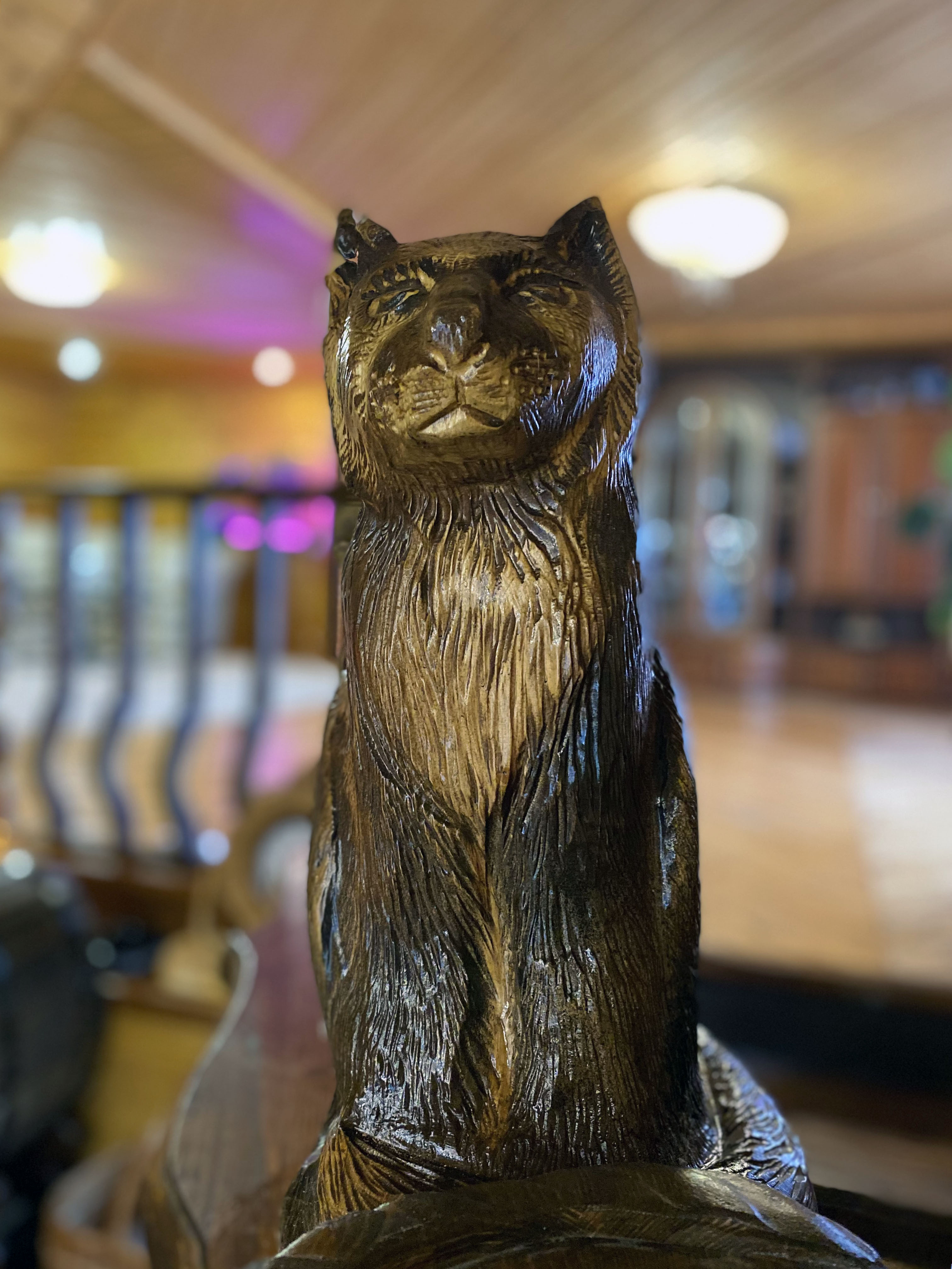 Фото Соколиное Гнездо