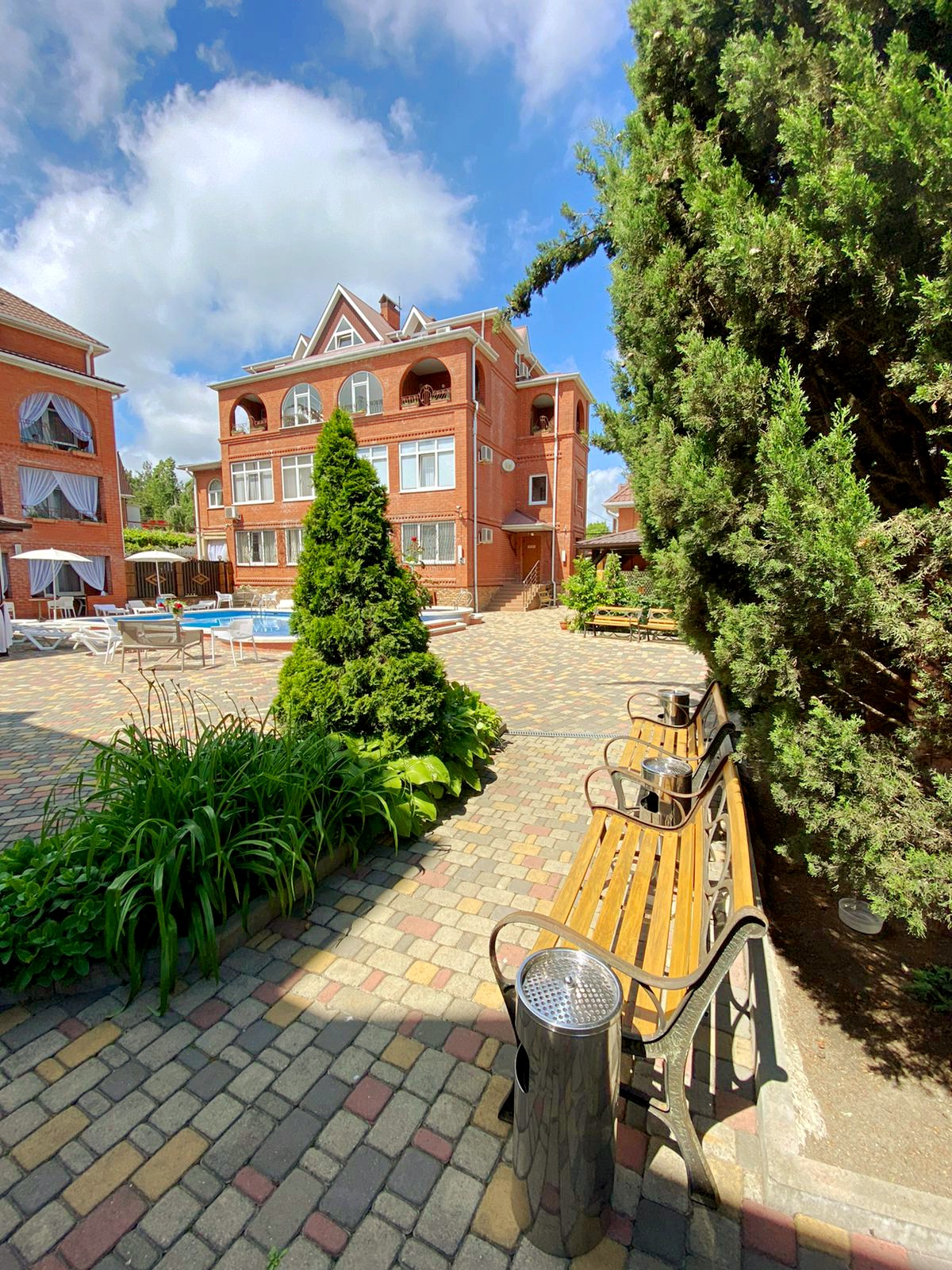 Фото Багира