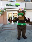 Zhiznmart mini (Vikulova Street, 38), grocery