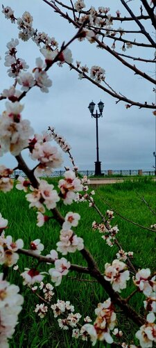 Гостевой дом Нижние сады в Ейске