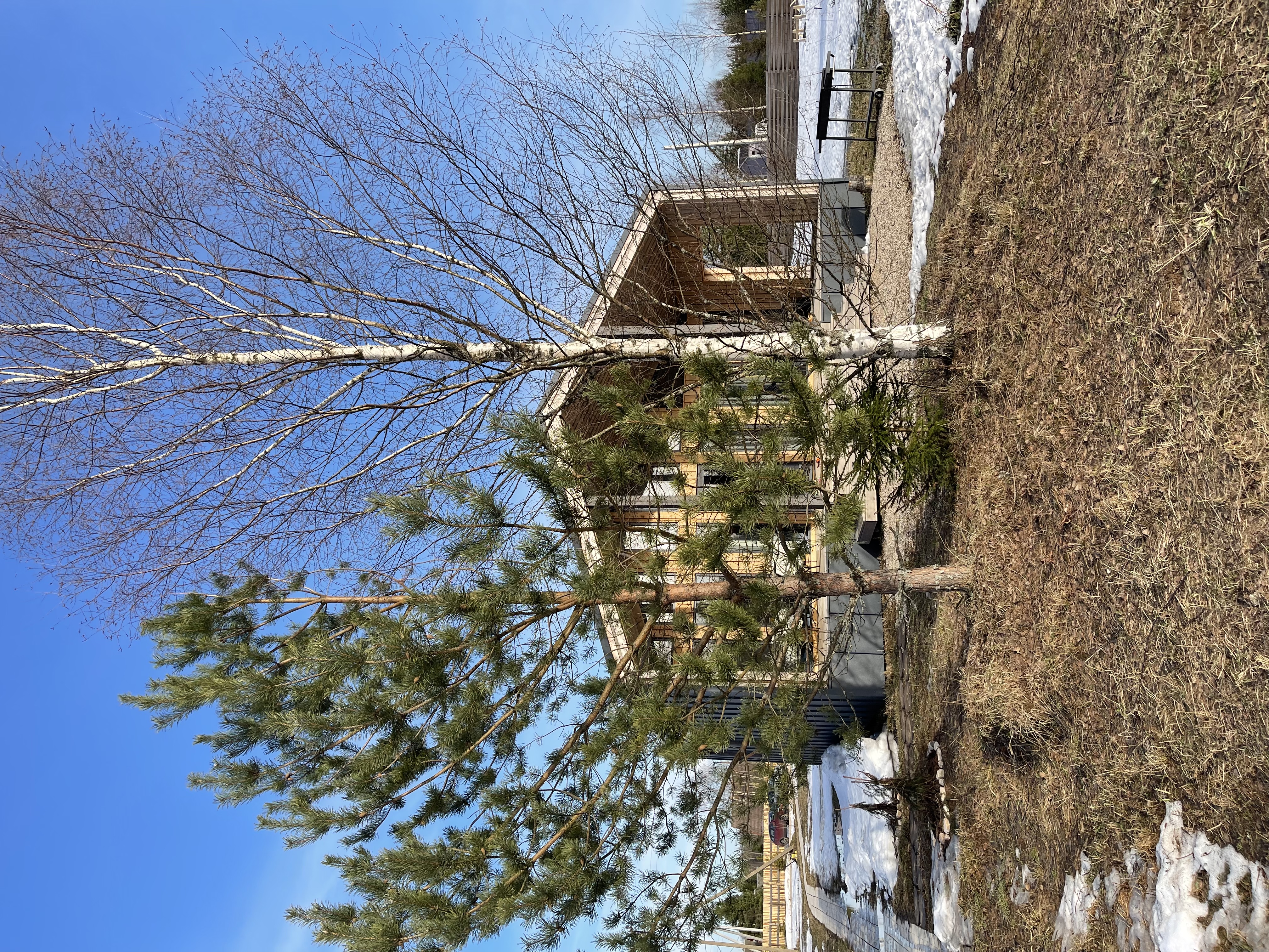 Фото Рустик Кантри Клаб