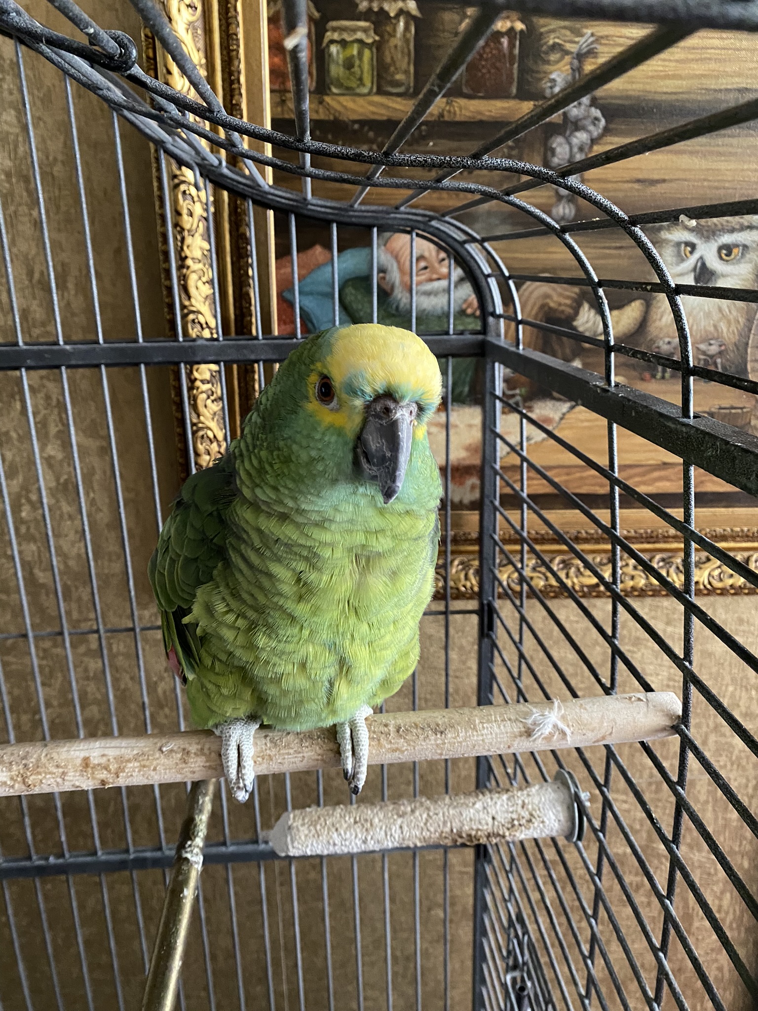 Фото Гармония