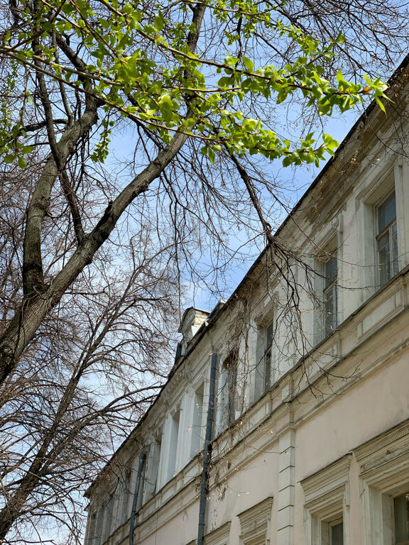 معلم جذب سياحي Усадьба Бутурлина ، موسكو، صورة