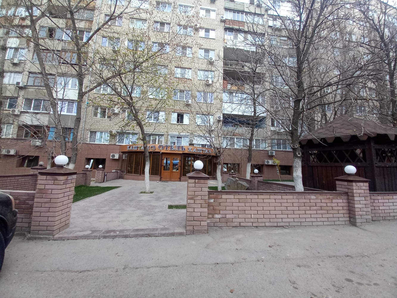 Фото Каштан