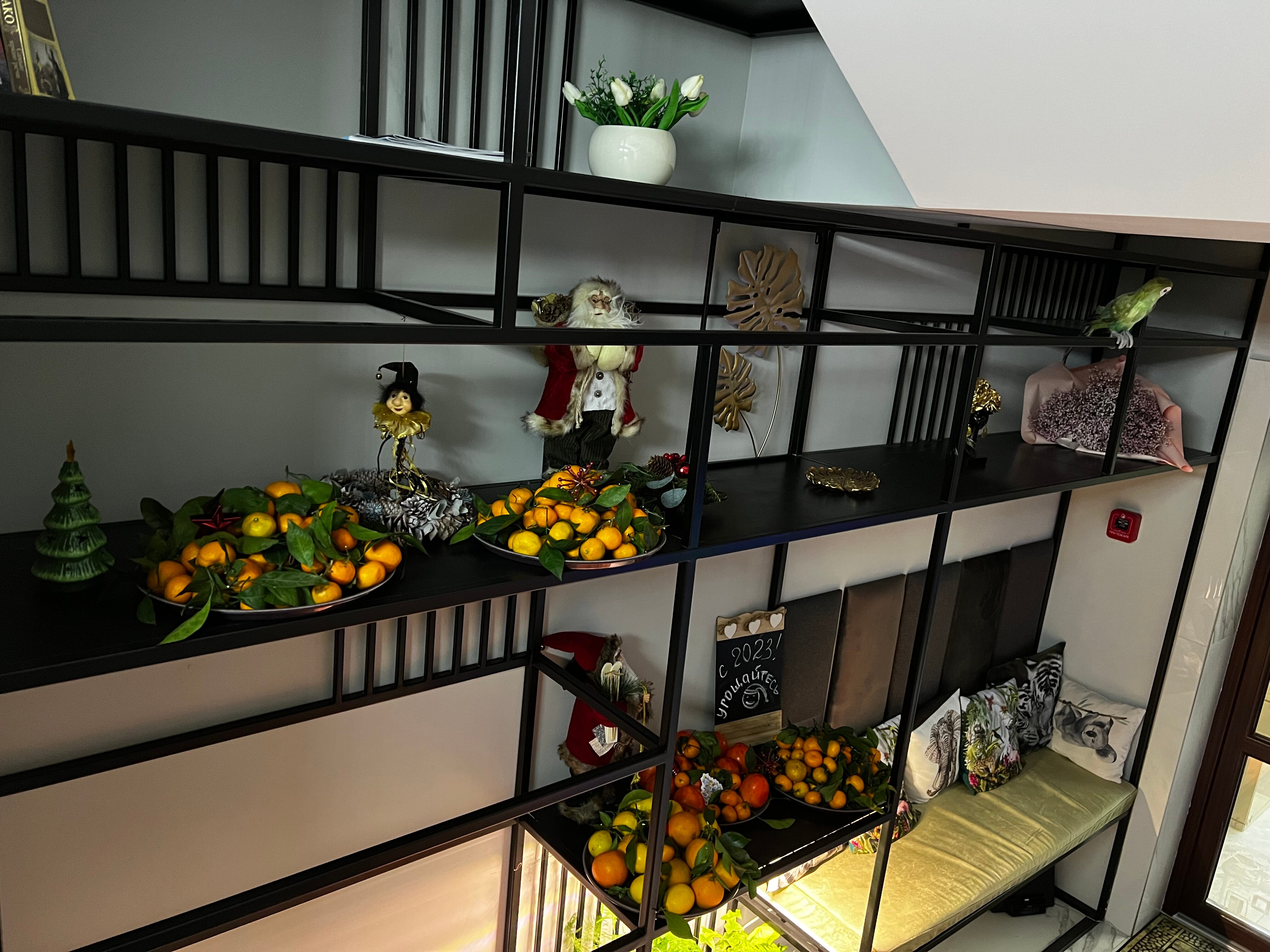 Фото Мангостин