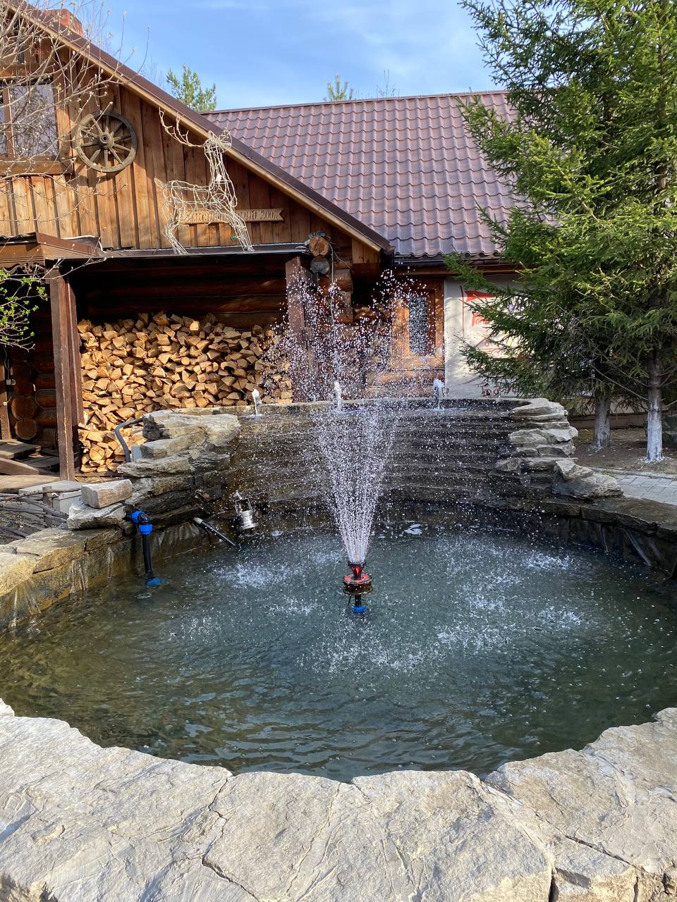 Фото Лесная поляна