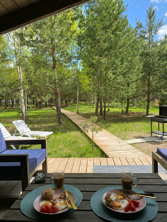 Фото Дыши лесом