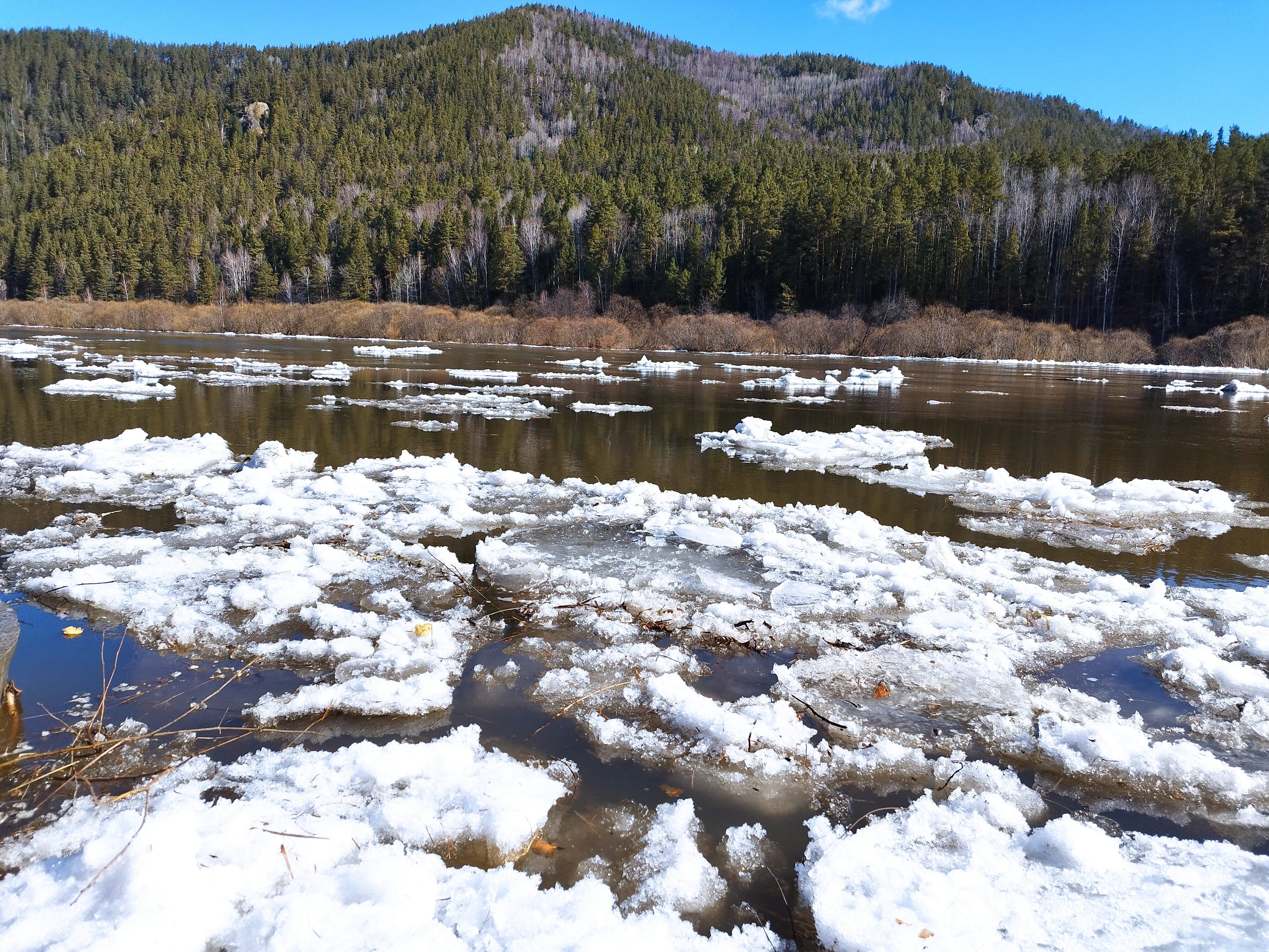 Фото Беретьклуб124